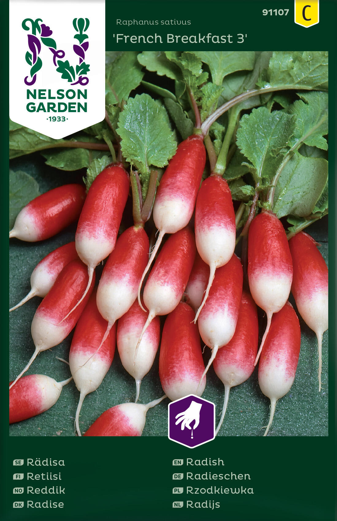 Månedsreddik 'French Breakfast 3'